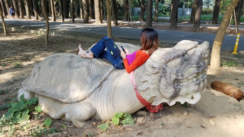 digital nomad remote worker working on an Asian turtle lion statue