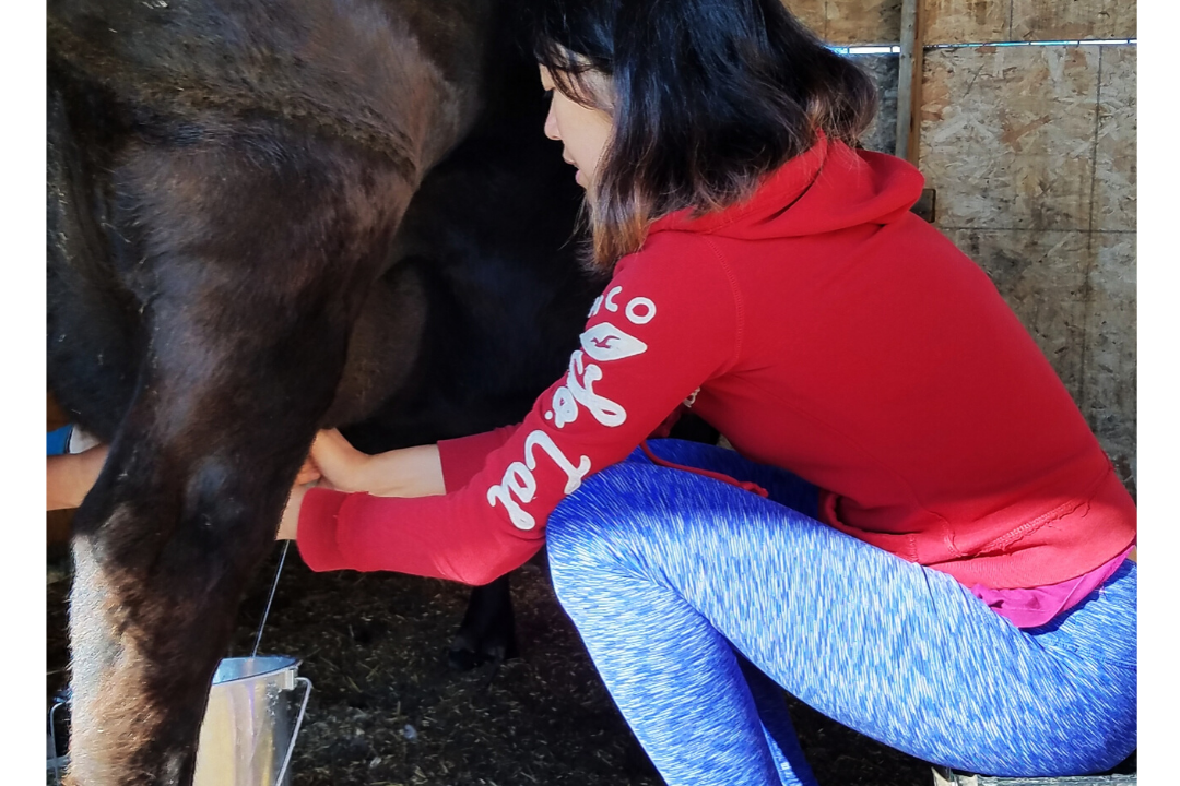 HelpX Farm life in Alberta 加拿大打工換宿農場生活