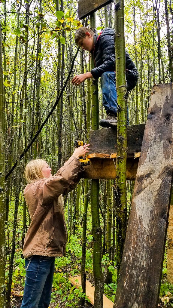 Building tree house in canada helpx