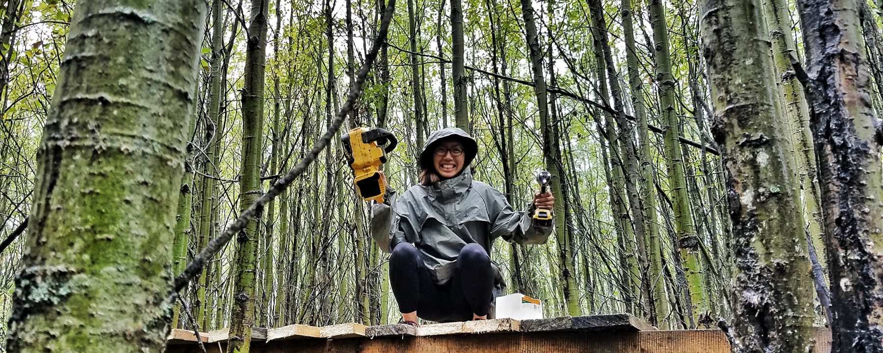 super mei travel 在加拿大蓋樹屋