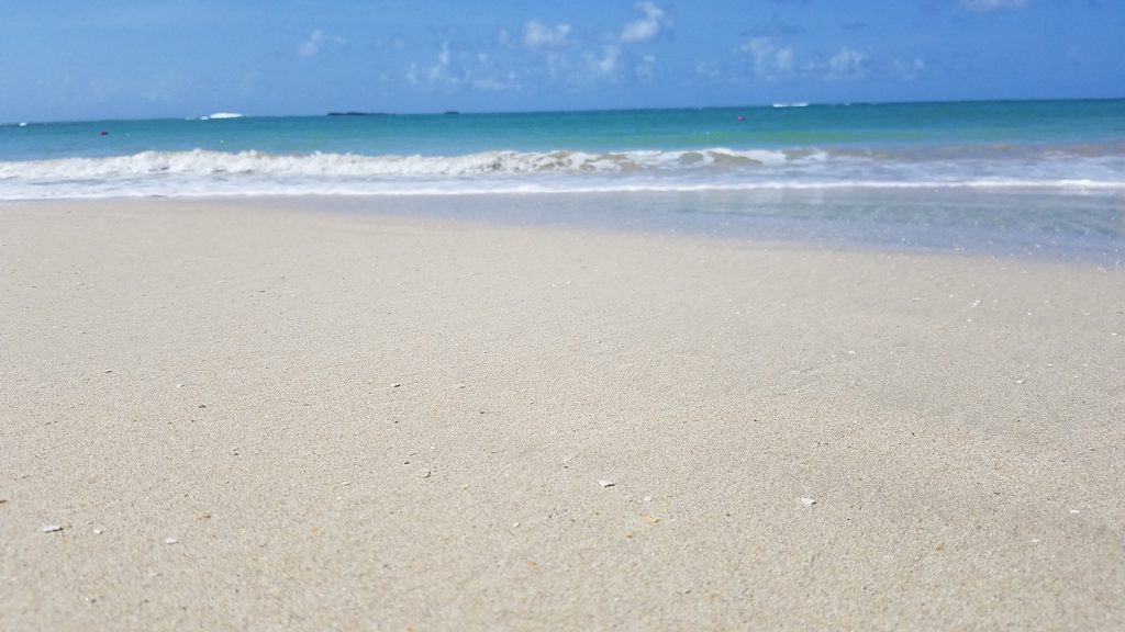 Playa Ballenas Samana Dominican Republic 多明尼加共和國山美納半島百椰娜海灘