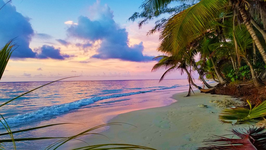 Playa Ballenas Samana Dominican Republic 多明尼加共和國山美納半島百椰娜海灘