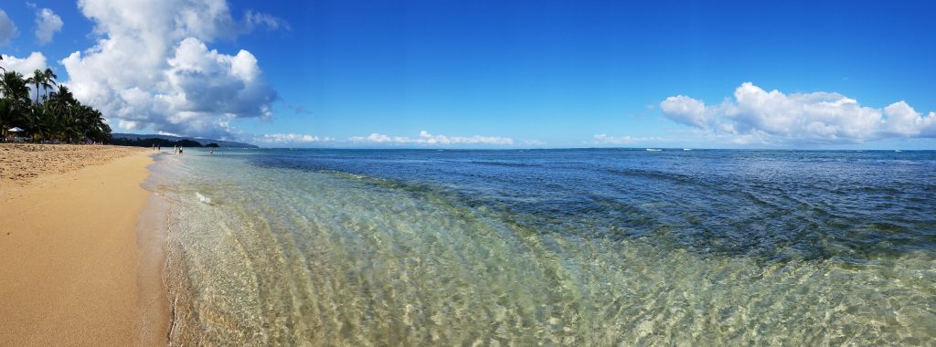 Playa Las Ballenas Dominican Republi Samana Peninsula 多明尼加山美納半島推薦海灘天堂百椰娜海灘