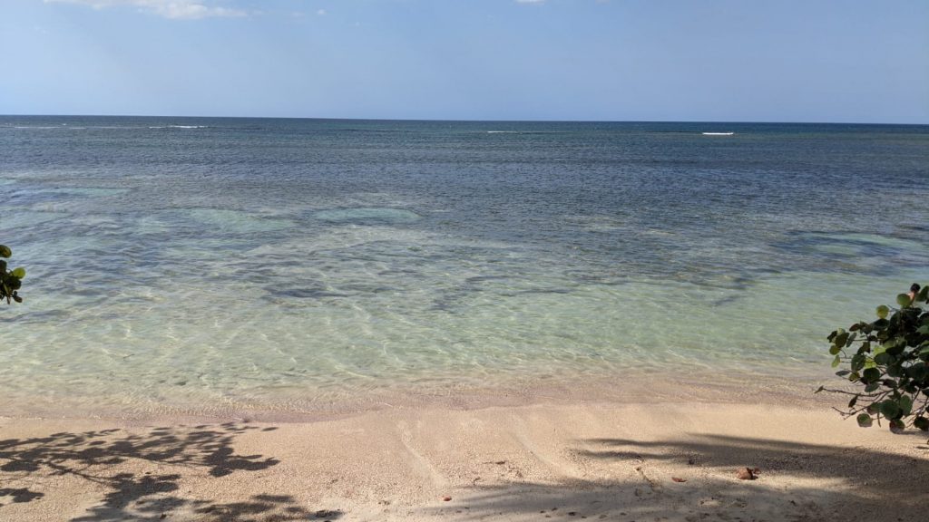 多明尼加海灘天堂攻略-Playa Carolina海灘-山美納半島推薦海灘天堂