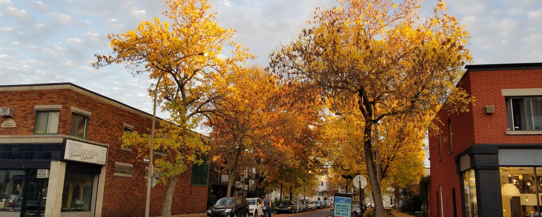 秋季賞楓優質數位遊牧城市加拿大蒙特婁 Fall leaves in Montreal Canada Digital Nomad City
